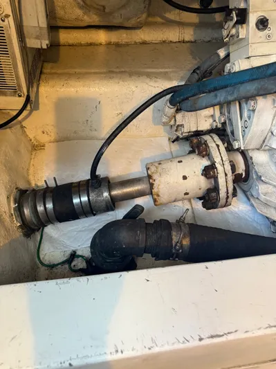 Turnin Fins Yacht Photos Pics 