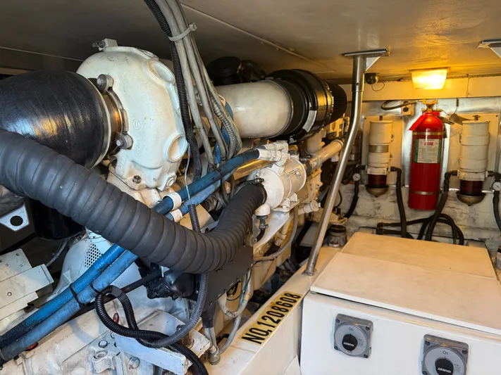 Turnin Fins Yacht Photos Pics 