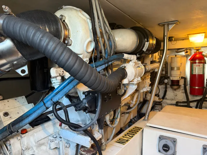 Turnin Fins Yacht Photos Pics 