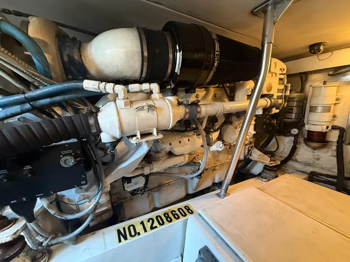 Turnin Fins Yacht Photos Pics 