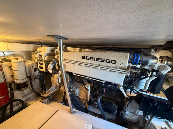 Turnin Fins Yacht Photos Pics 