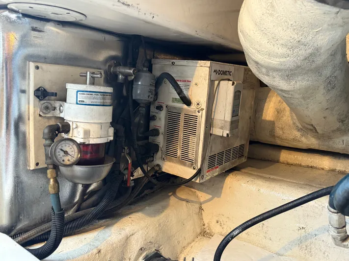 Turnin Fins Yacht Photos Pics 