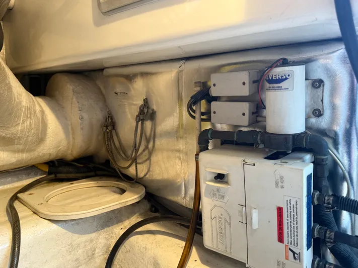 Turnin Fins Yacht Photos Pics 