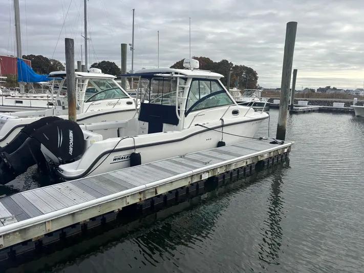  Yacht Photos Pics 2014 Boston Whaler 285 Conquest docked at marina with Mercury outboard engine.