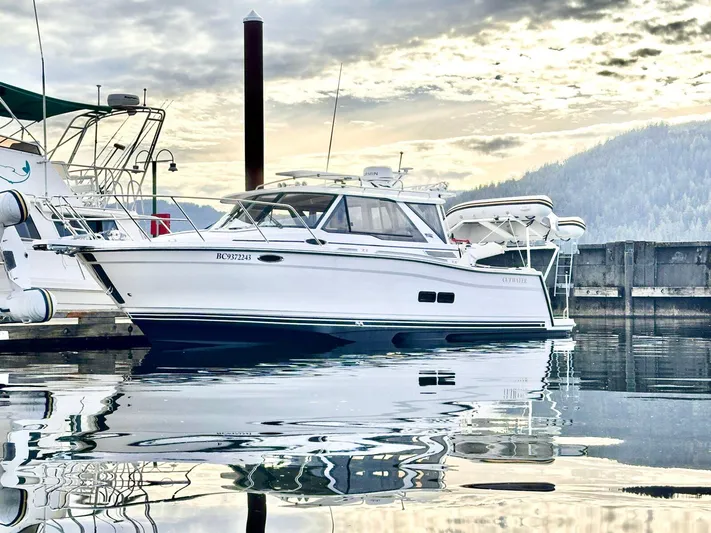  Yacht Photos Pics 2025 Cutwater C-288 Coupe boat docked in a serene marina setting.