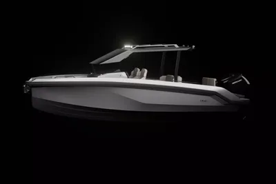 Rand Roamer 29
