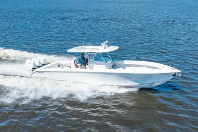 Bahama 41