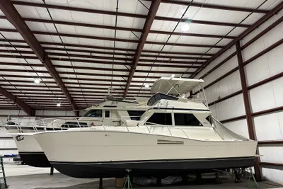Viking 41