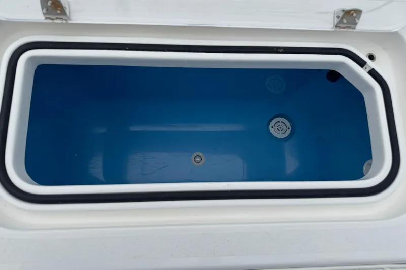  Yacht Photos Pics 2024 Contender 30 Tournament livewell with blue interior and drainage system.
