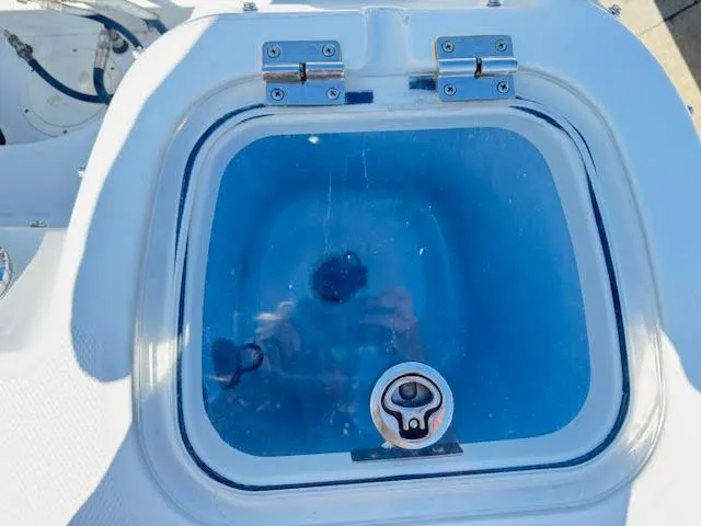  Yacht Photos Pics Livewell on a 2016 Boston Whaler 350 Outrage boat, featuring a clear lid and blue interior.