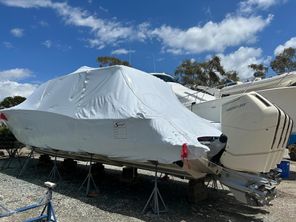 Scout 530 LXF