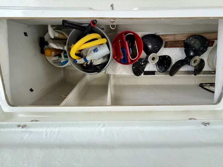 Cerebral Seabatical Yacht Photos Pics 