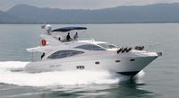 2011 Majesty 56