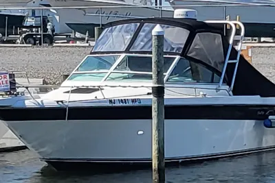 Sea Ray Laguna 29 Walkaround