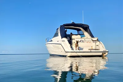 Bayliner 4085 Avanti