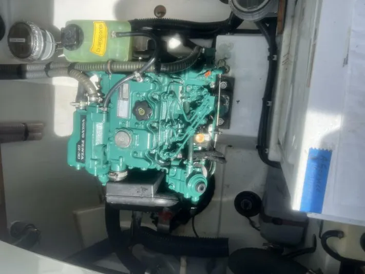 Oasis Yacht Photos Pics 