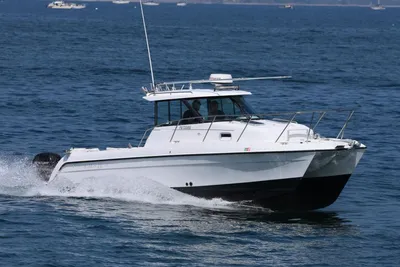 Glacier Bay 2670 Island Runner