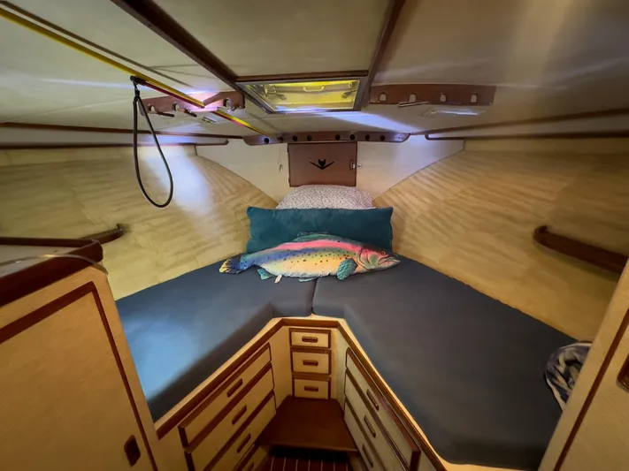 Laid Back Yacht Photos Pics 1983 Bertram 46 Convertible cabin with cozy bed and fish-themed decor.