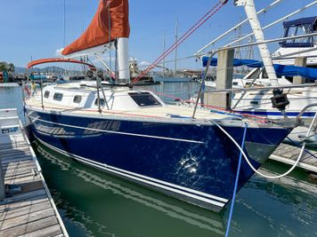 Freedom 35