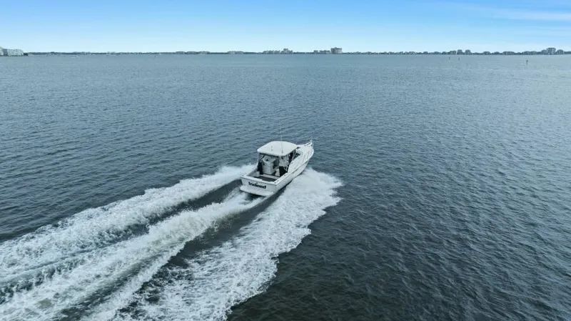 Indeed Yacht Photos Pics 