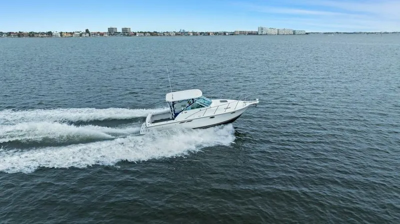 Indeed Yacht Photos Pics 