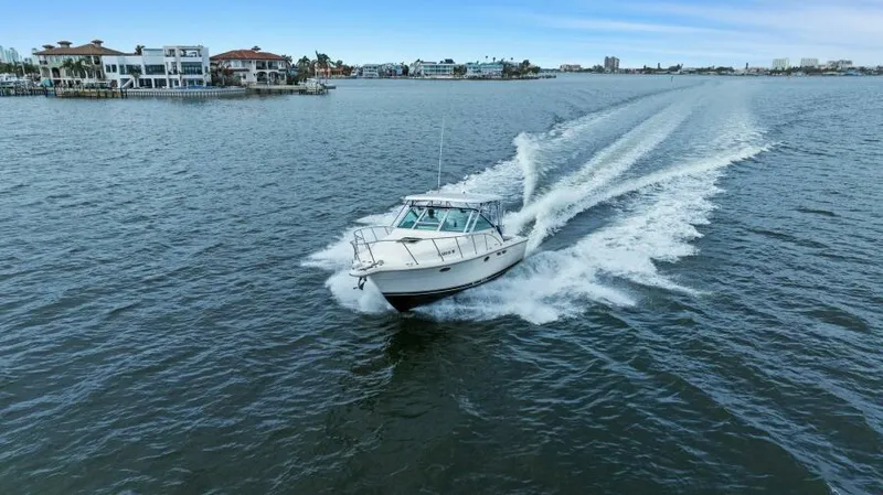 Indeed Yacht Photos Pics 