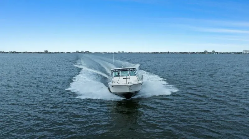 Indeed Yacht Photos Pics 