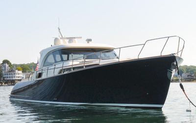 Mochi Craft 51 Dolphin