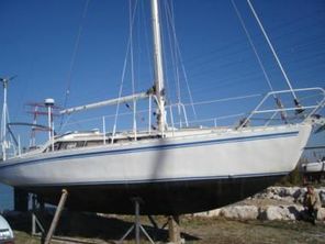 1980 Custom CMPF TRISBAL 34