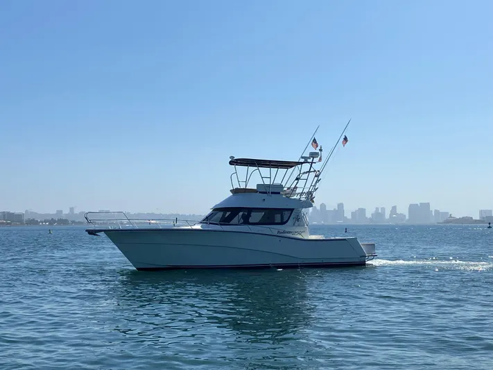 Double Trouble Yacht Photos Pics 
