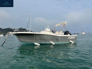 2002 White Shark 205