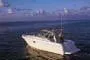 Sea Ray 290 Amberjack