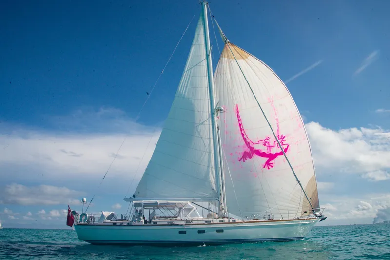 Tuatara Yacht Photos Pics Sailing yacht Little Harbor 63, 1983 model, with vibrant pink lizard design on sail.