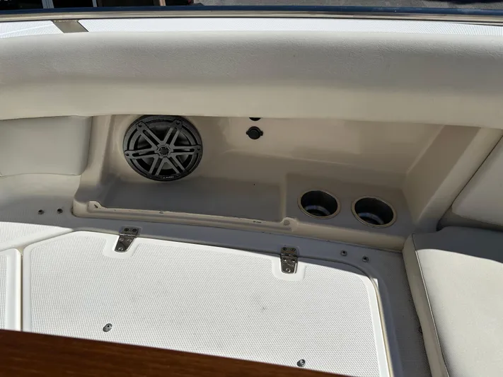 Dream Chaser Yacht Photos Pics 2021 Boston Whaler Realm 380 interior with speaker and cup holders.