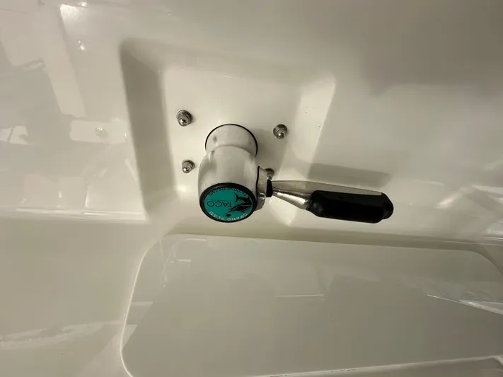 Dream Chaser Yacht Photos Pics Boston Whaler Realm 380 2021 boat handle, close-up view.