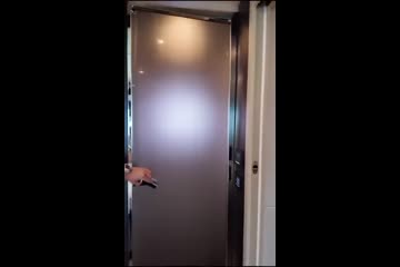 Video Placeholder