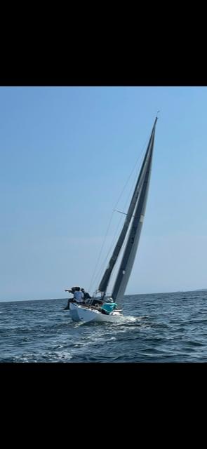 chaser 29 sailboat for sale