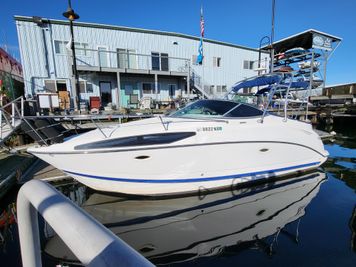 Bayliner 265