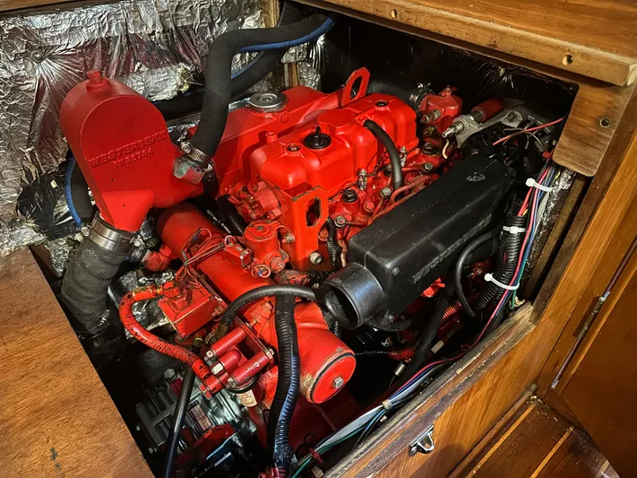 Rosy Bain Yacht Photos Pics 