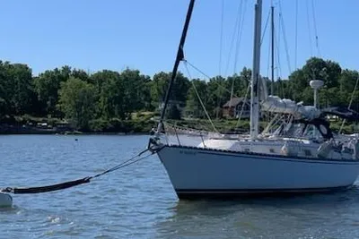 Hunter 36