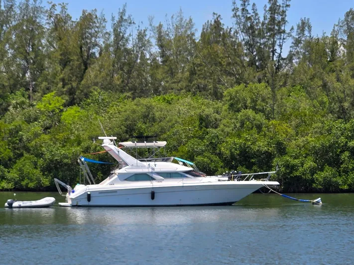 Backatcha Yacht Photos Pics 
