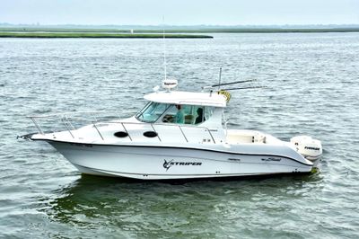 Seaswirl Striper 2901 Walkaround O/B
