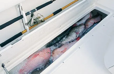 Overdraft Yacht Photos Pics Manufacturer Provided Image