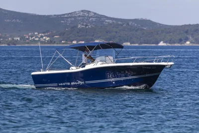 2006 White Shark 265