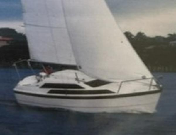 2014 MacGregor Tattoo