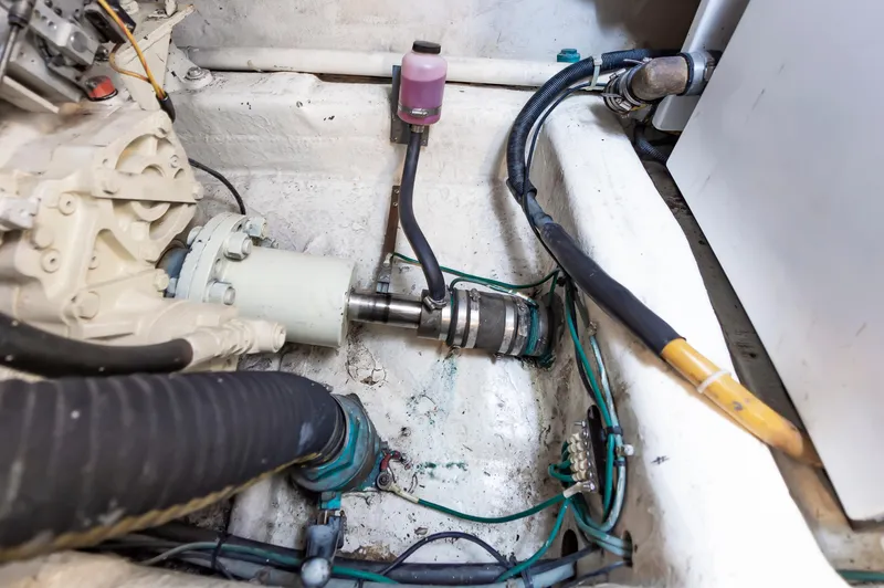 God's Reel Yacht Photos Pics 