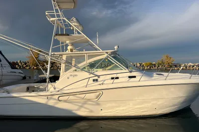 Rampage 38 Express