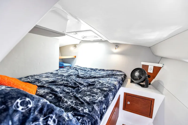 Transcendent Yacht Photos Pics 