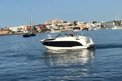 2009 Bayliner 255