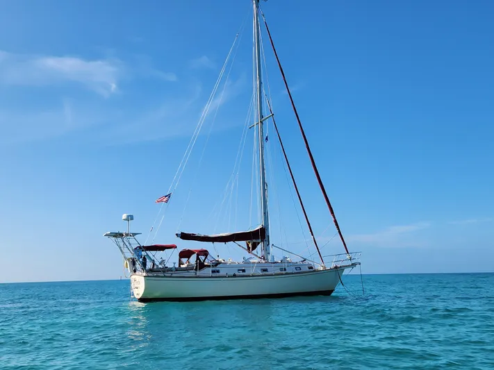 True North Yacht Photos Pics 